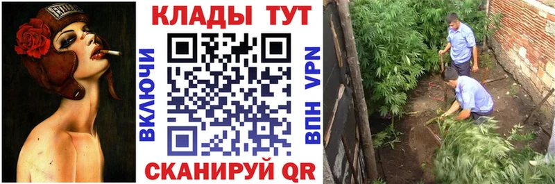 Наркотические вещества Каменск-Шахтинский Каннабис  A-PVP  Cocaine  Гашиш  Меф 