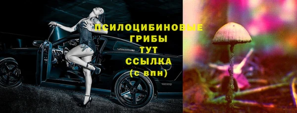 mdpv Волоколамск
