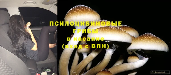 мяу мяу мука Володарск