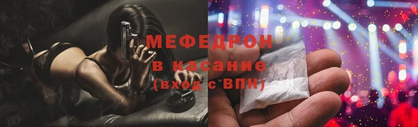 индика Бородино