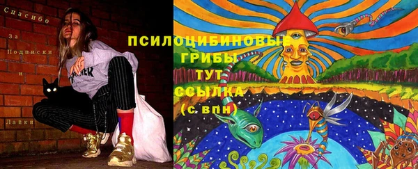 шишки Волосово