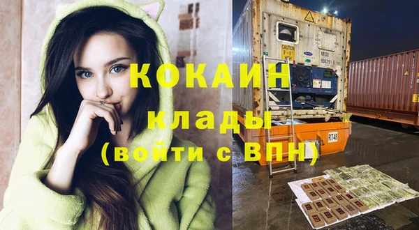 mdpv Волоколамск