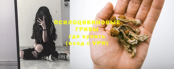шишки Волосово