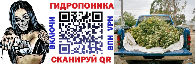 Конопля план  Каменск-Шахтинский 